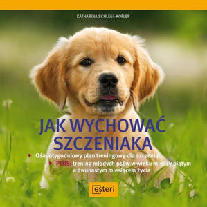 Jak wychowa szczeniaka - 2868281852