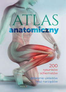 Atlas anatomiczny - 2875317813