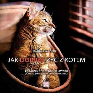 Jak dobrze y z kotem - 2875014223