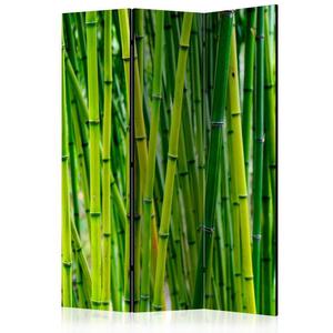 Parawan 3-czciowy - Bambusowy las [Room Dividers]