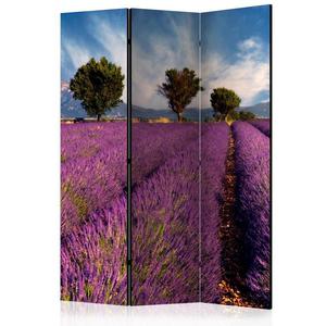 Parawan 3-czciowy - Lavender field in Provence, France [Room Dividers] - 2861753871