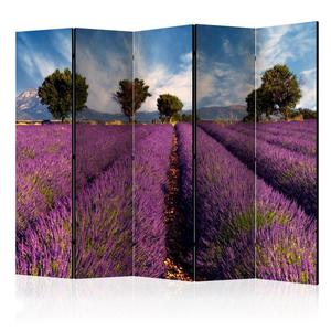 Parawan 5-czciowy - Lavender field in Provence, France [Room Dividers] - 2861753872