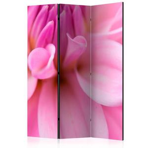 Parawan 3-czciowy - Kwiatowe patki - dalia [Room Dividers] - 2861753975