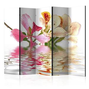 Parawan 5-czciowy - Kwiaty tropikalne - drzewo storczykowe (bauhinia) II [Room Dividers] - 2861755951