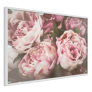 Plakat - Pastelowe peonie - 2861758447