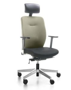 Fotel ergonomiczny Dual DU 103 - Bejot - 2842319464