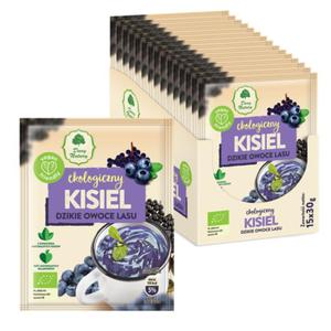 KISIEL DZIKIE OWOCE LASU BEZGLUTENOWY BIO 30 g - DARY NATURY - 2865452824