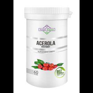 ACEROLA EKSTRAKT 60 KAPSUEK (600 mg) - SOUL FARM - 2871828763