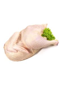 POWKA KURCZAKA (TACKA) BIO (okoo 1,10 kg) - LIMEKO - 2825280821