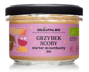 GRZYBEK SCOBY STARTER DO KOMBUCHY BIO 150 g - DELIKATNA (ZAKWASOWNIA) - 2877843536