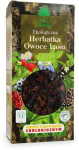 Herbata owoce lasu BIO 100g Dary Natury - 2857475601