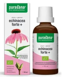 Echinacea Forte (jewka purpurowa) w kroplach BIO 50 ml Purasana - 2860537275