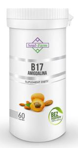 AMIGDALINA B17 (EKSTRAKT Z PESTEK MORELI 5:1) 260 mg 60 KAPSUEK - SOUL FARM - 2860537922