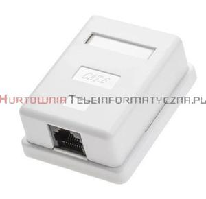 Gniazdo komputerowe LAN 1 x RJ45 kat.6 natynkowe biae - 2874284183