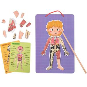 Tooky Toy Drewniane Puzzle Magnetyczne Nauka Anatomia Czowieka 78el. - 2870483681