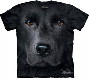 Black Lab Face - The Mountain - 2833177639