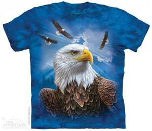 Guardian Eagle - The Mountain - 2847876592