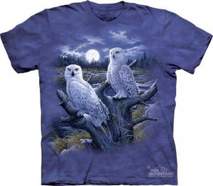 Snowy Owls - The Mountain - 2865066033