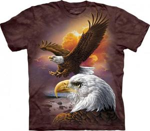 Eagle & Clouds - The Mountain - 2833177855