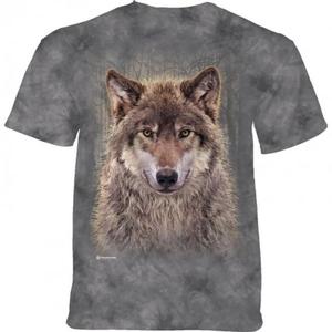 Grey Wolf Forest - The Mountain - 2861364711