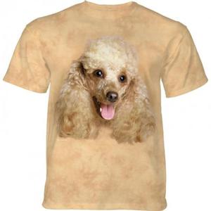 Happy Poodle Portrait - The Mountain - 2861364717