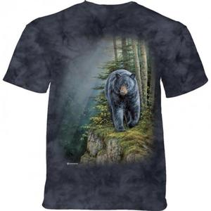 Rocky Outcrop Black Bear - The Mountain - 2863145954