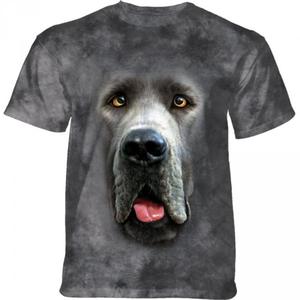 Big Face Great Dane - Dog Niemiecki - 2868129372