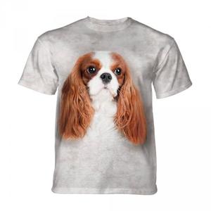 Cavalier King Charles Spaniel - The Mountain - Junior - 2872470036