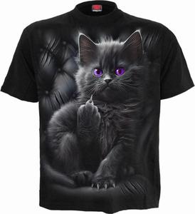 Cattitude - Spiral Direct - 2877845040