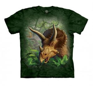 Wild Triceratops - The Mountain - Junior - 2878026703