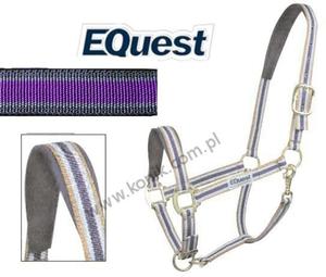 Kantar DUAL PLUS violet - EQUEST - 2847724759