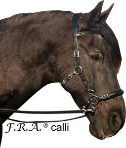 Ogowie Hackamore Calli - F.R.A - 2847726680