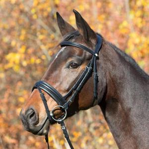 Ogowie VANESSA - Horse&Passion - 2847727094