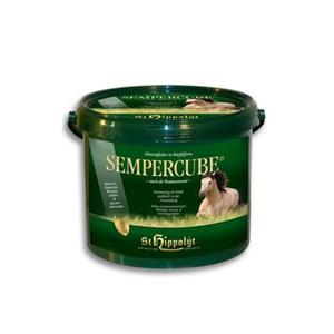 St HIPPOLYT Semper cube przysmaki z mineraami - 3kg - 2847727373