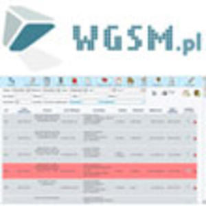 WGSM - Profesjonalna Obsuga Serwisu GSM - 2833103185