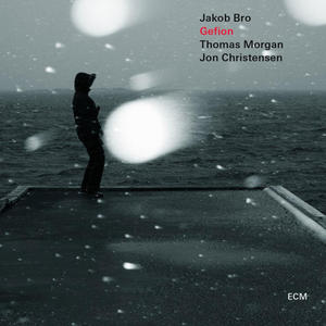 JAKOB BRO TRIO - GEFION (CD) - 2826393427