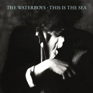 THE WATERBOYS - THIS IS THE SEA (CD) - 2826394337