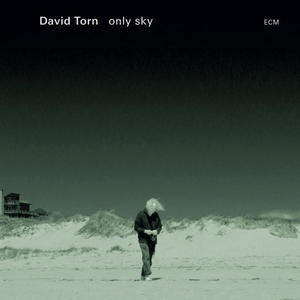 DAVID TORN - ONLY SKY (CD) - 2826394425