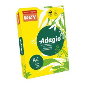 Papier ksero A4 160g ty intensywny ADAGIO nr 66 - 2861319787