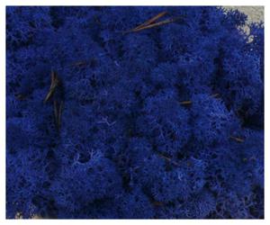 MECH Chrobotek Reniferowy 26.Azur Blue 2,50 kg mech na cian, mech norweski, niebieski - 2860812821