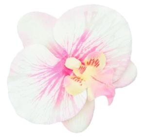 W11 Storczyk Phalaenopsis - gwka Cream/Pink sztuczne kwiaty - storczyk - 2872694645