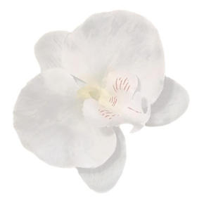 W11 Storczyk Phalaenopsis - gwka White sztuczne kwiaty - storczyk - 2872694663