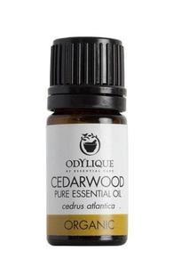 Odylique by Essential Care organiczny olejek eteryczny Drzewo Cedrowe, 5 ml - 2860527477