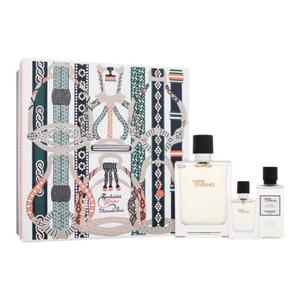 Hermes Terre d´Hermès zestaw Edt 100 + 12,5ml EDT + 40ml Woda po goleniu dla mczyzn