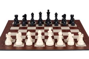 Elektroniczny zestaw szachowy DGT SMART - szachownica + figury szachowe - 2877024590