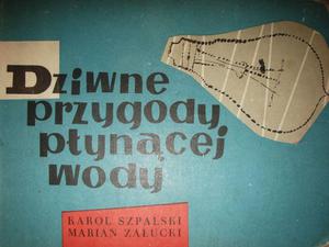 DZIWNE PRZYGODY PYNCEJ WODY - 2858299370