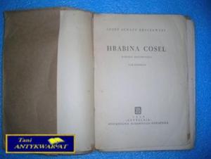 HRABINA COSEL -Jzef Ignacy Kraszewski - 2822526947