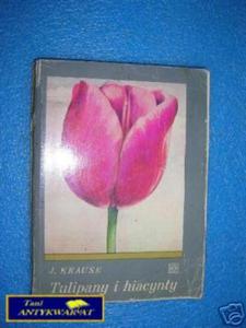 TULIPANY I HIACYNTY - J.Krause - 2822531750