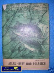 ATLAS RYBY WD POLSKICH - A.Rudnicki - 2822535540