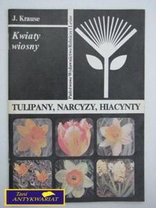 TULIPANY, NARCYZY, HIACYNTY-J. Krause